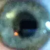 David Geurts - @yallstupid4ever - TikTok