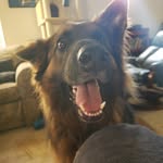 David Giller - @droxel_giller - Instagram