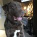 Dave Gillham - Facebook