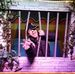 David Gillingham - Facebook