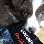 David Giner - @dginer_decidir - Instagram