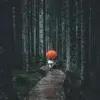 David Gines - @david.gines7 - TikTok
