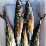 @david_gingell - Instagram