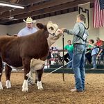 David Gingerich - @davidgingerich05 - Instagram