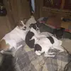 davidgingerich228 - @davidgingerich228 - TikTok