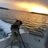 David Ginn - @david.ginn2 - TikTok