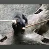 Gino David - @gino.david - TikTok
