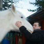 David Giovanelli - @davidgiova85 - Instagram