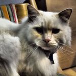David Giraldi - @david.giraldi.90 - Instagram