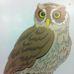 David Girling - @dexter2508 - Instagram