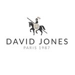 نمایندگی رسمی کیف دیوید جونز - @davidjones_gisha - Instagram