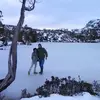 David Gishford - @david.gishford - TikTok