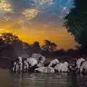 david gitahi - @davidgitahi - TikTok