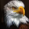 davidgitahi801 - @davidgitahi801 - TikTok