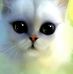 David Gitman - Facebook