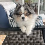 David Gitter - @dvdgitter - Instagram