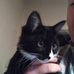 David Glackin - Facebook