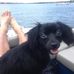 David Gladding - Facebook
