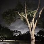DavidG - @davidgladman - Instagram