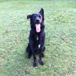 David Gladwell - @david.gladwell.37 - Instagram