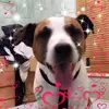 David Glaister - @david.glaister - TikTok