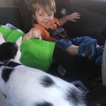 David Glisson - @dglissonjr - Instagram