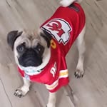 David Glosser - @david.glosser.5 - Instagram