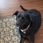 David Godbee - @david.godbee - Instagram