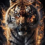David Godber - @david.godber.144 - Instagram