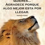 David Godinez - @david_godinez25 - Instagram