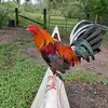 David Godinez - @david.godinez93 - TikTok