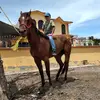 user2004877626500 - @davidgodinez67 - TikTok