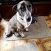 David Goforth - Facebook