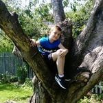 David Golder - @davidgolder123 - Instagram