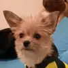 david_goldschmidt - @david_goldschmidt - TikTok