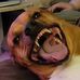 David L Goldschmidt - Facebook