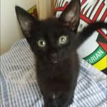 David Goodson - @david.goodson.1428 - Instagram