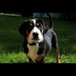 @david_goodson - Instagram