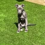 David Goodson - @davidgoodson344 - Instagram