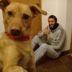 David Gorrasi - @davidgorrasi - Instagram