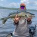David Gougeon - Facebook