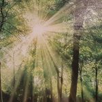 David Govers - @david_govers - Instagram