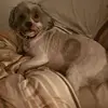 davidgowans628 - @davidgowans628 - TikTok