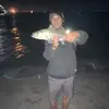 davidgowans639 - @davidgowans639 - TikTok