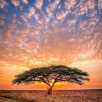 David Grand - Facebook