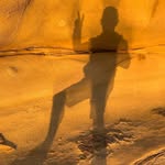 David Graver - @graverdavid - Instagram