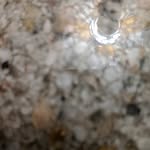 @greenlee_david - Instagram