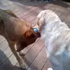 David Greenough - @david.greenough2 - TikTok