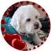 David Gregoire - Facebook