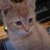 David Gregus - Facebook
